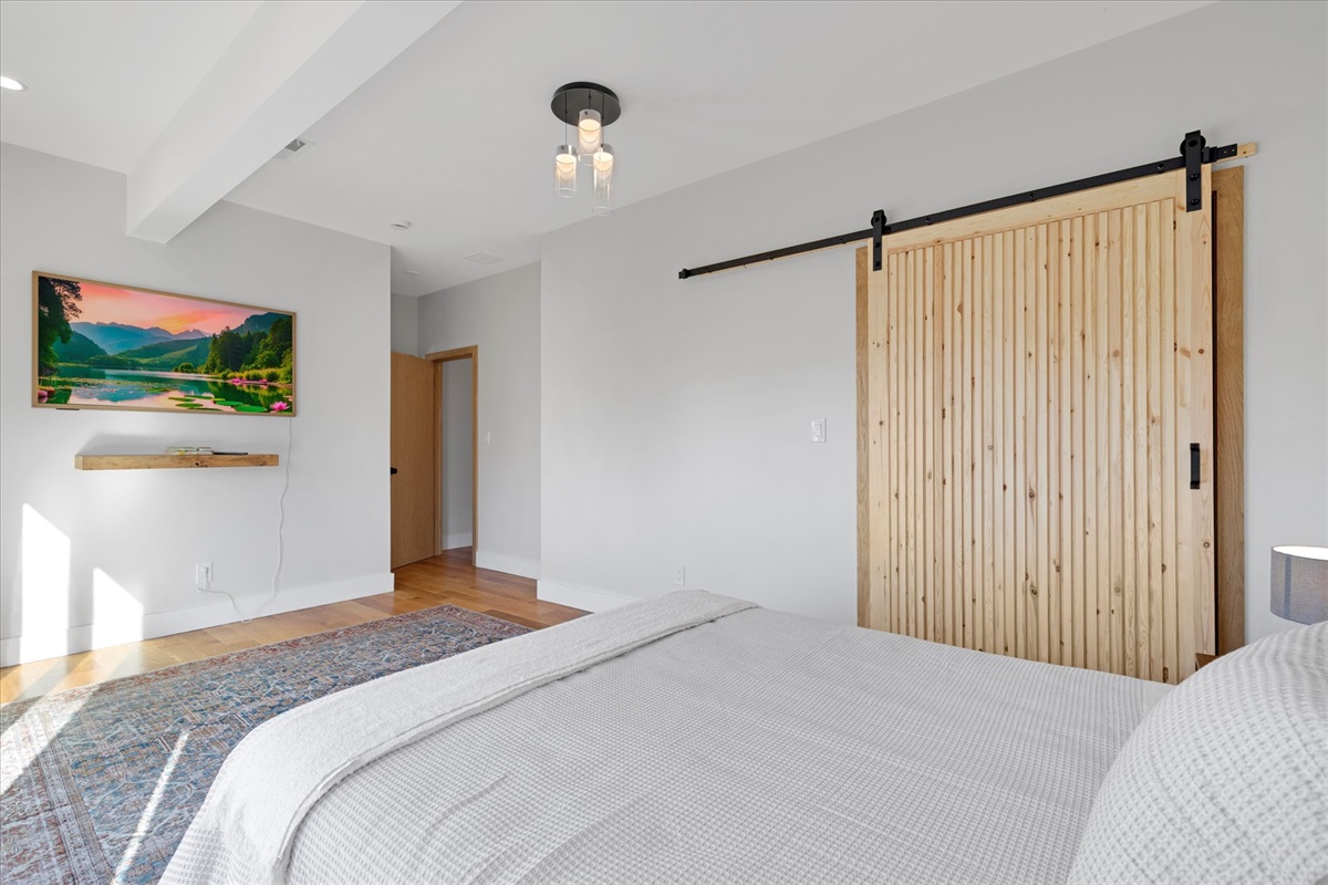 This photo shows the location of the TV along with a nice closet. 