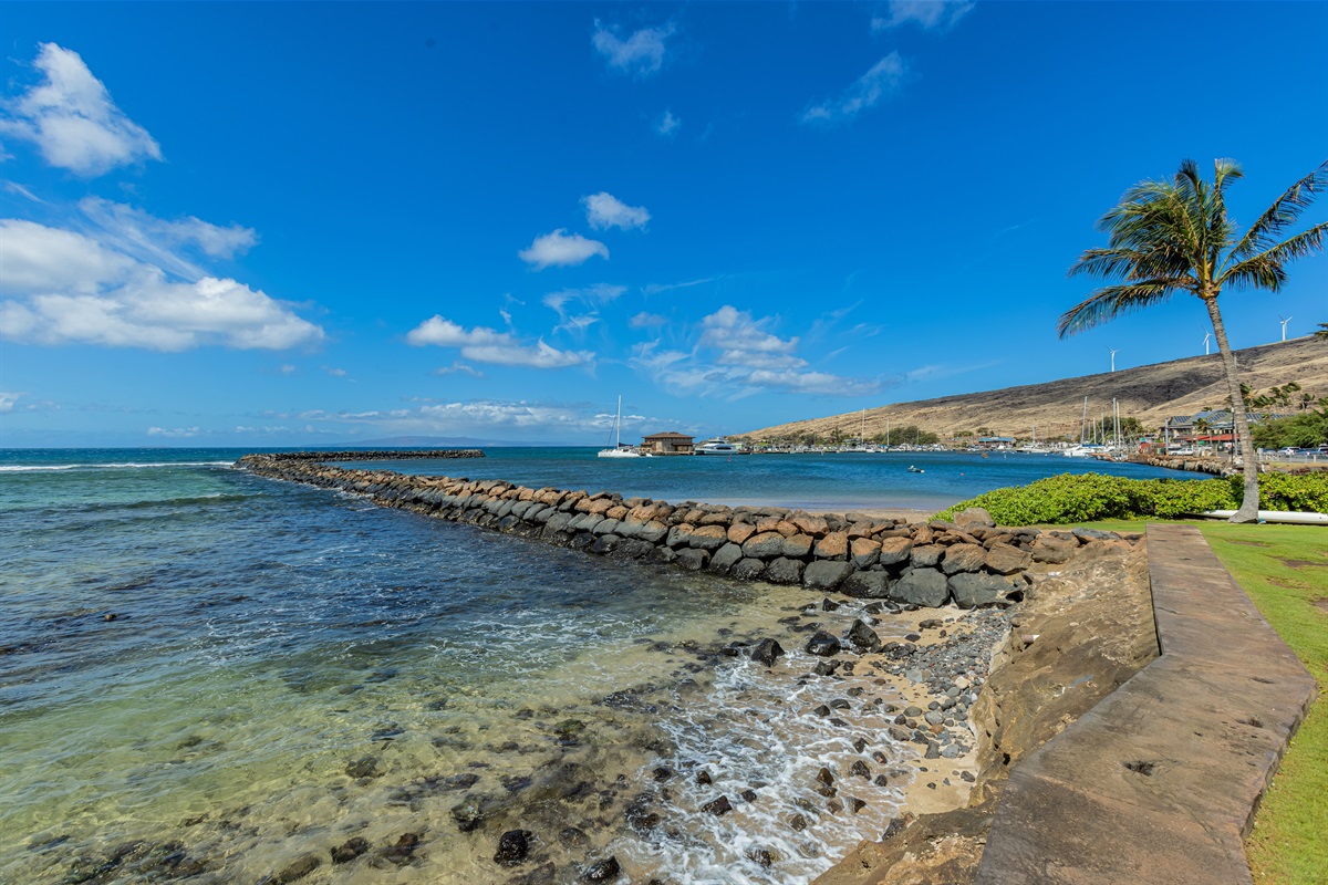 Ma'alaea Harbor View