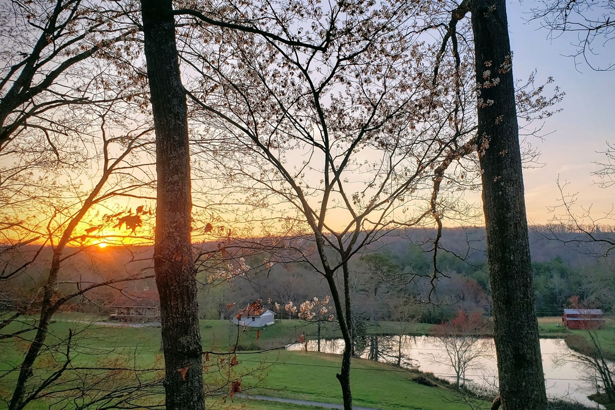 Sunrise view from the New Perspective platform 20 feet in the trees