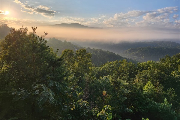 Wake up to the soft embrace of morning mist rolling over the Smoky Mountains, a cup of coffee in hand as nature slowly comes to life before your eyes.