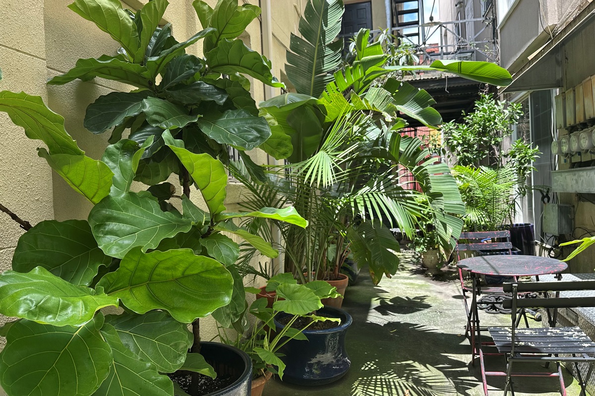 Shared courtyard with greenery and seating—your outdoor escape.