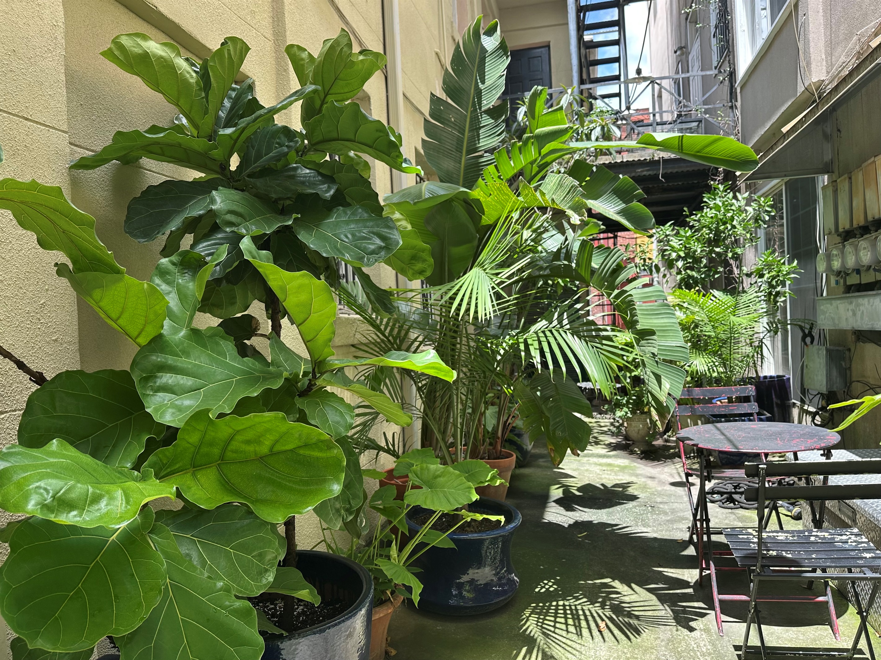 Shared courtyard with greenery and seating—your outdoor escape.