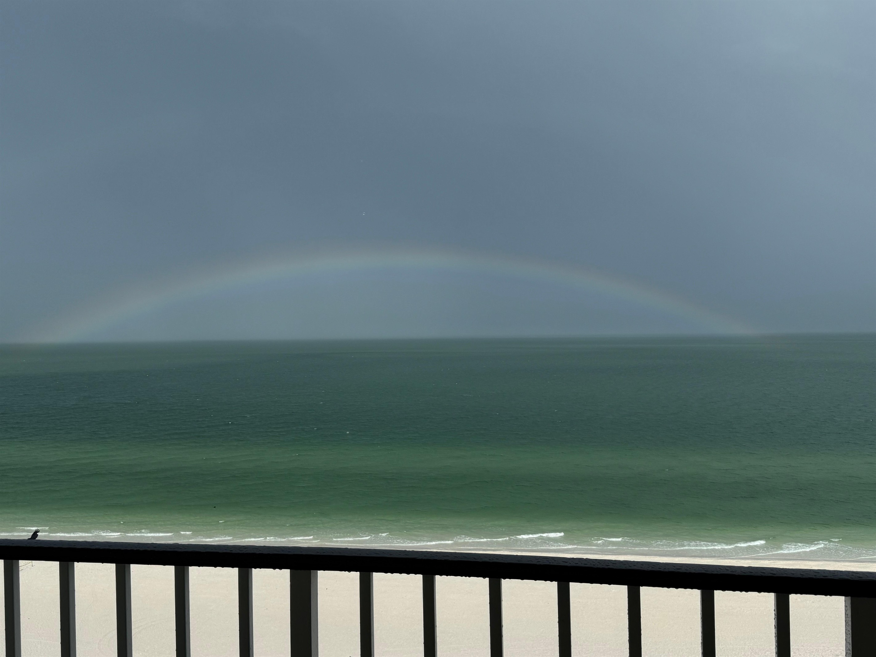 Ann S., Aug 19, 2025