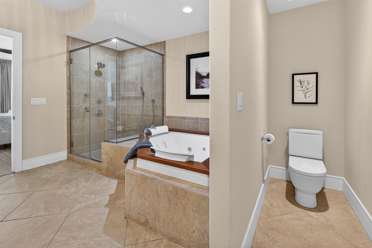 Master Bathroom, jacuzzi tub, shower
