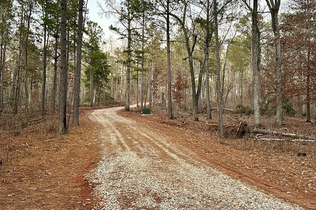 Driveway on 20 Acres