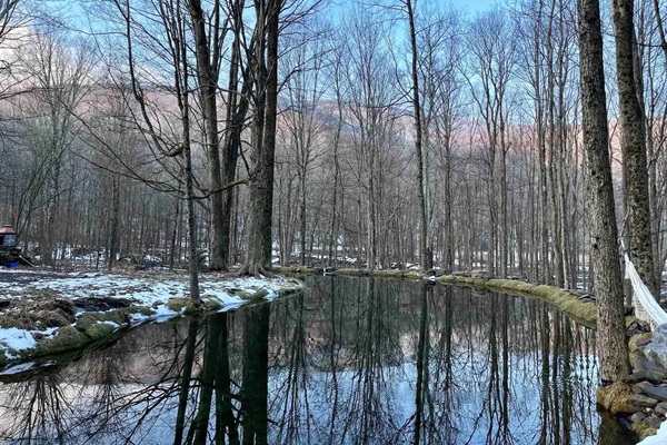 Private pond in front