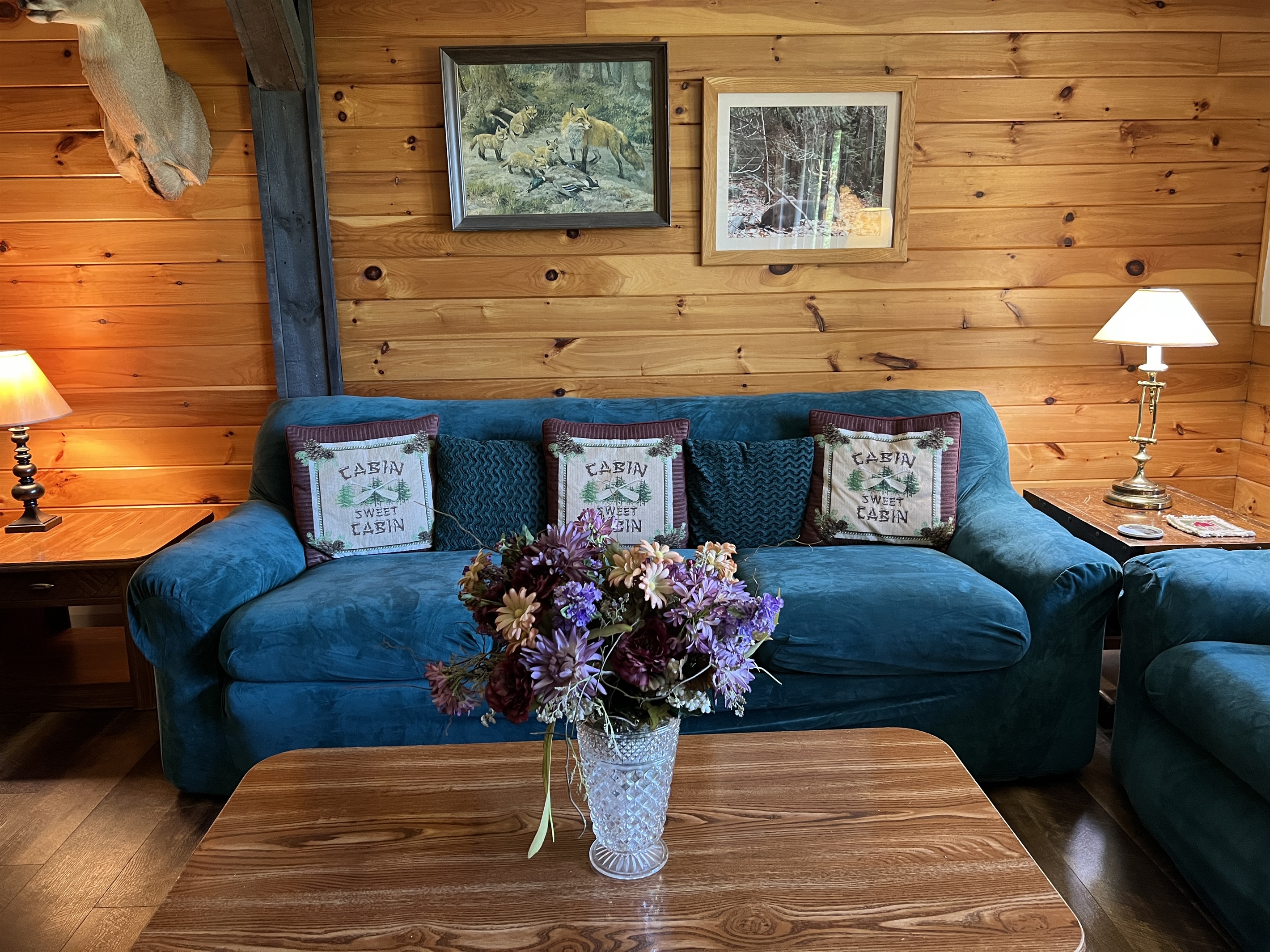 Cozy living room area