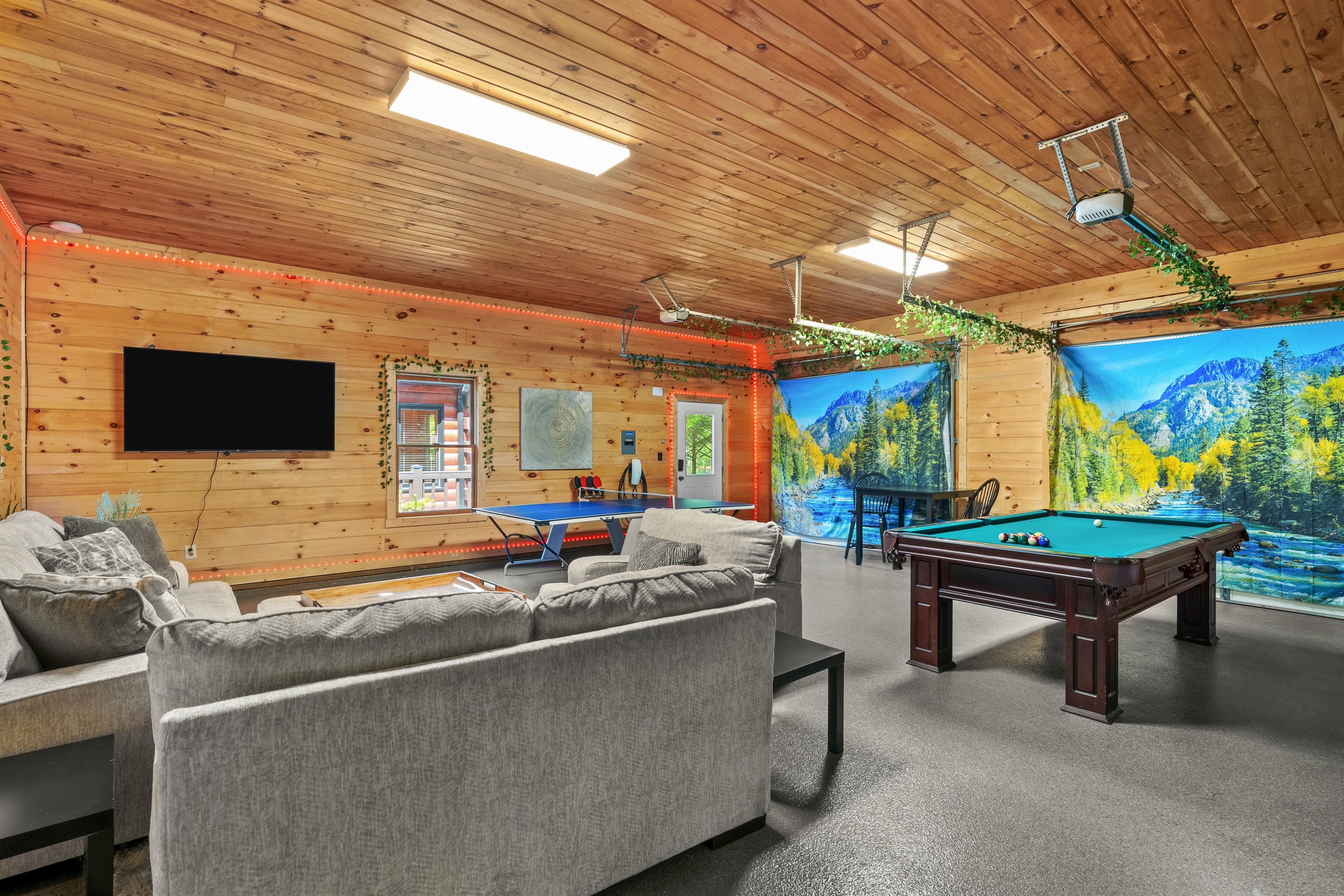 Entertainment area