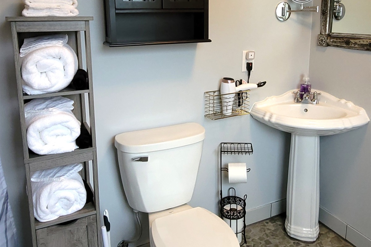 Master Bath Towels and Blow Dryer