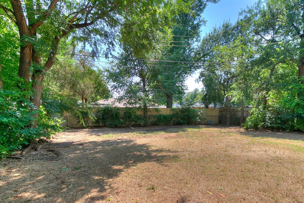 Backyard
