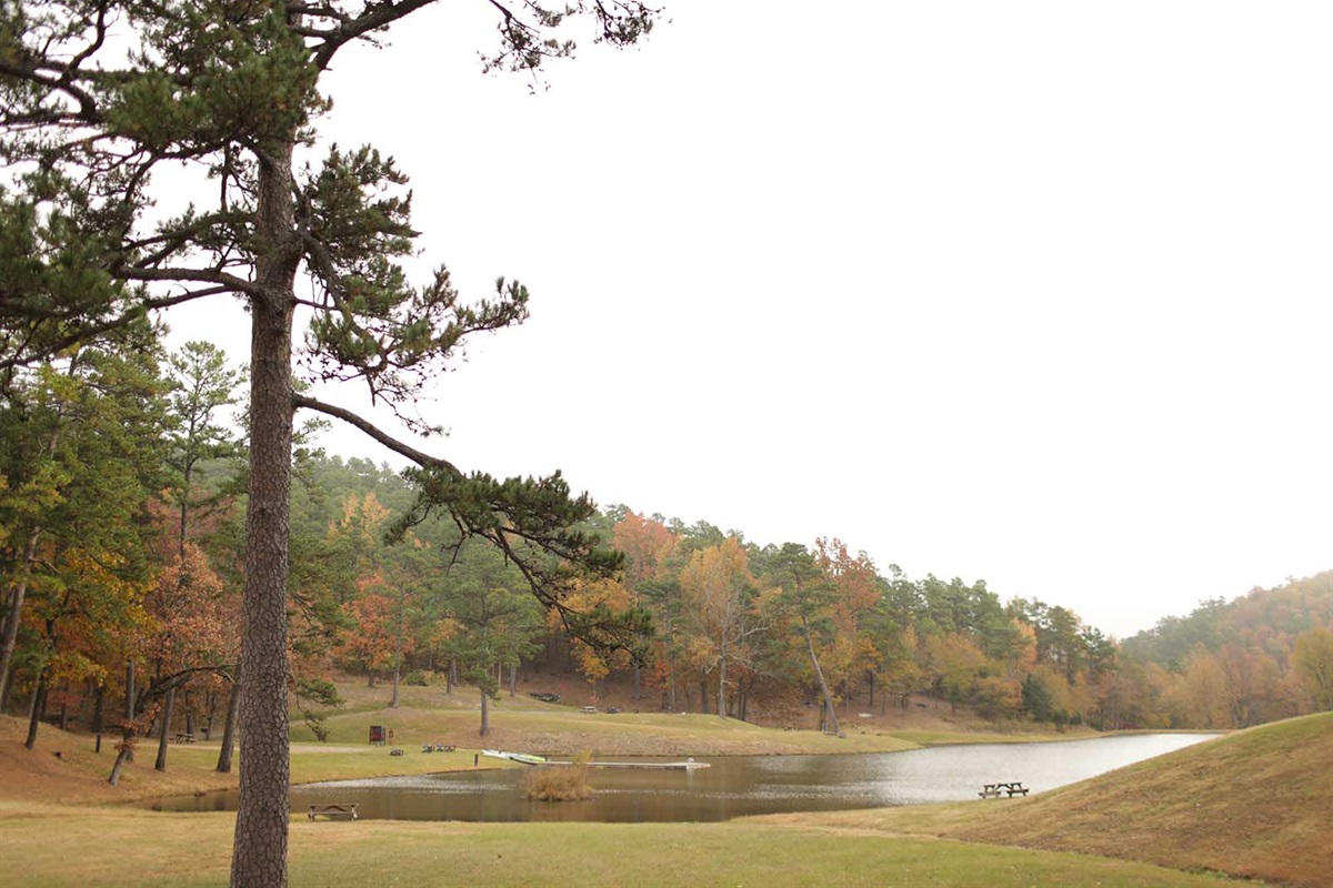 National Park-Like Setting