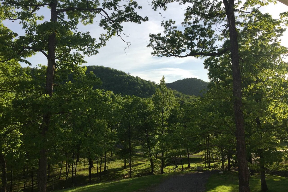 Front Porch View