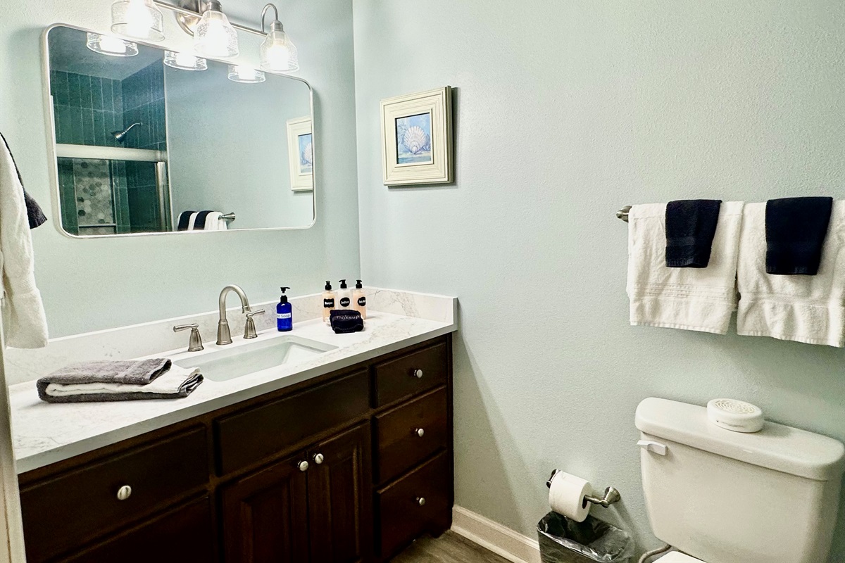 New quartz counter tops and faucet!