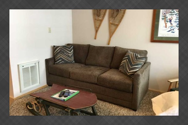 Sleeper sofa: Couch.