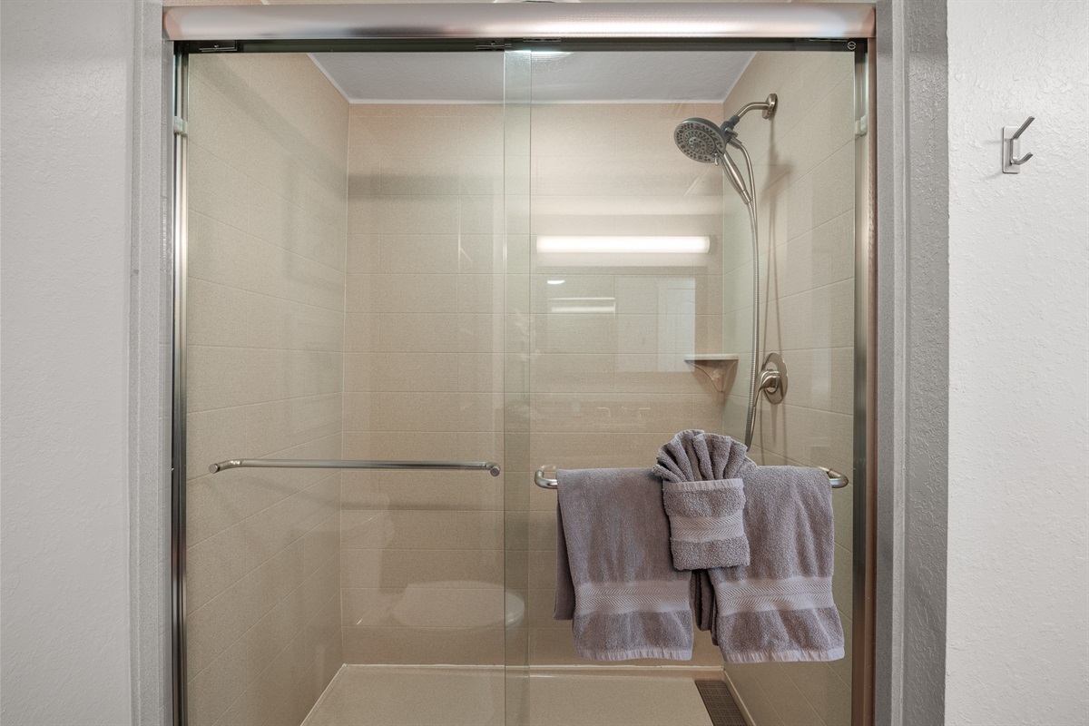 Primary bath, walk-in shower