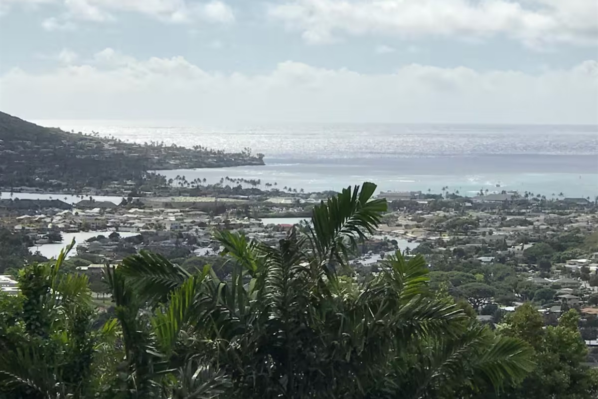 Ocean View From Cottage