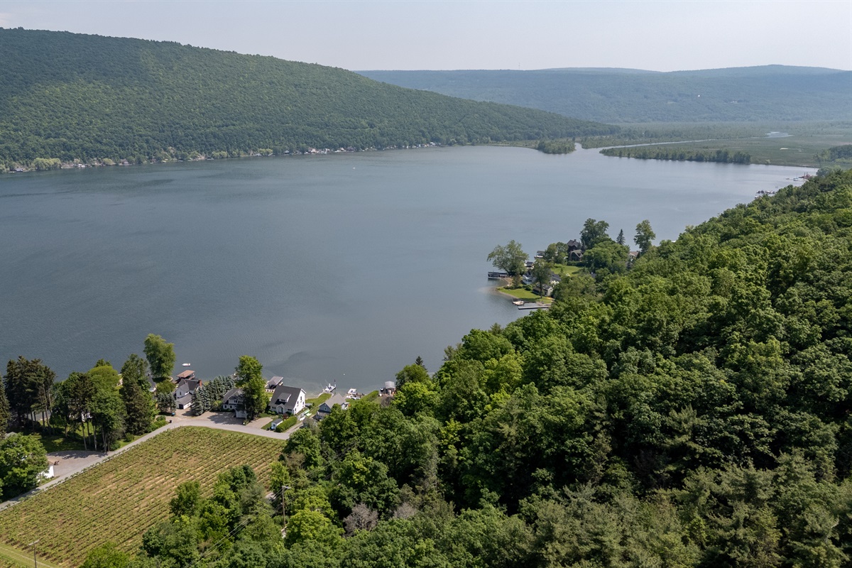 An expansive panoramic of the Finger Lakes—rolling hills, forest-lined shores, and tranquil waters highlight the unmatched natural beauty of this destination.