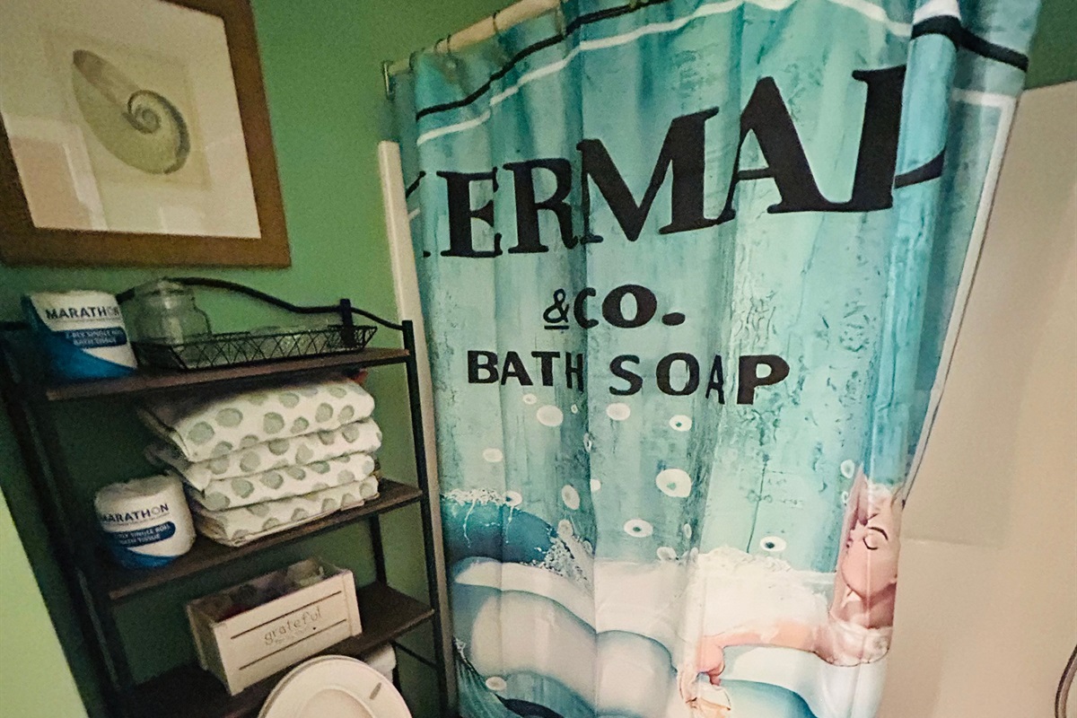 Upstairs bathroom