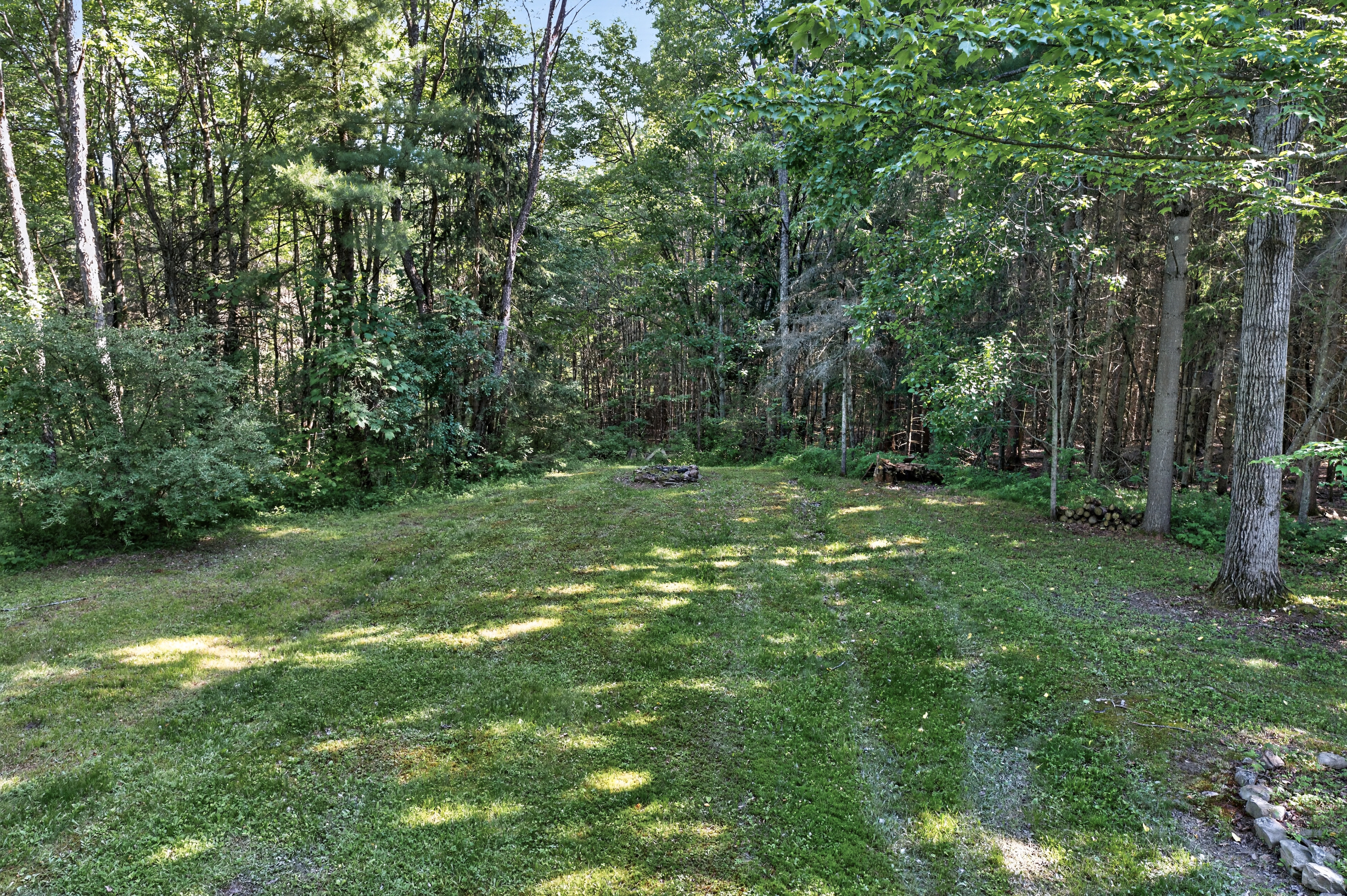 Gravel driveway beneath the trees