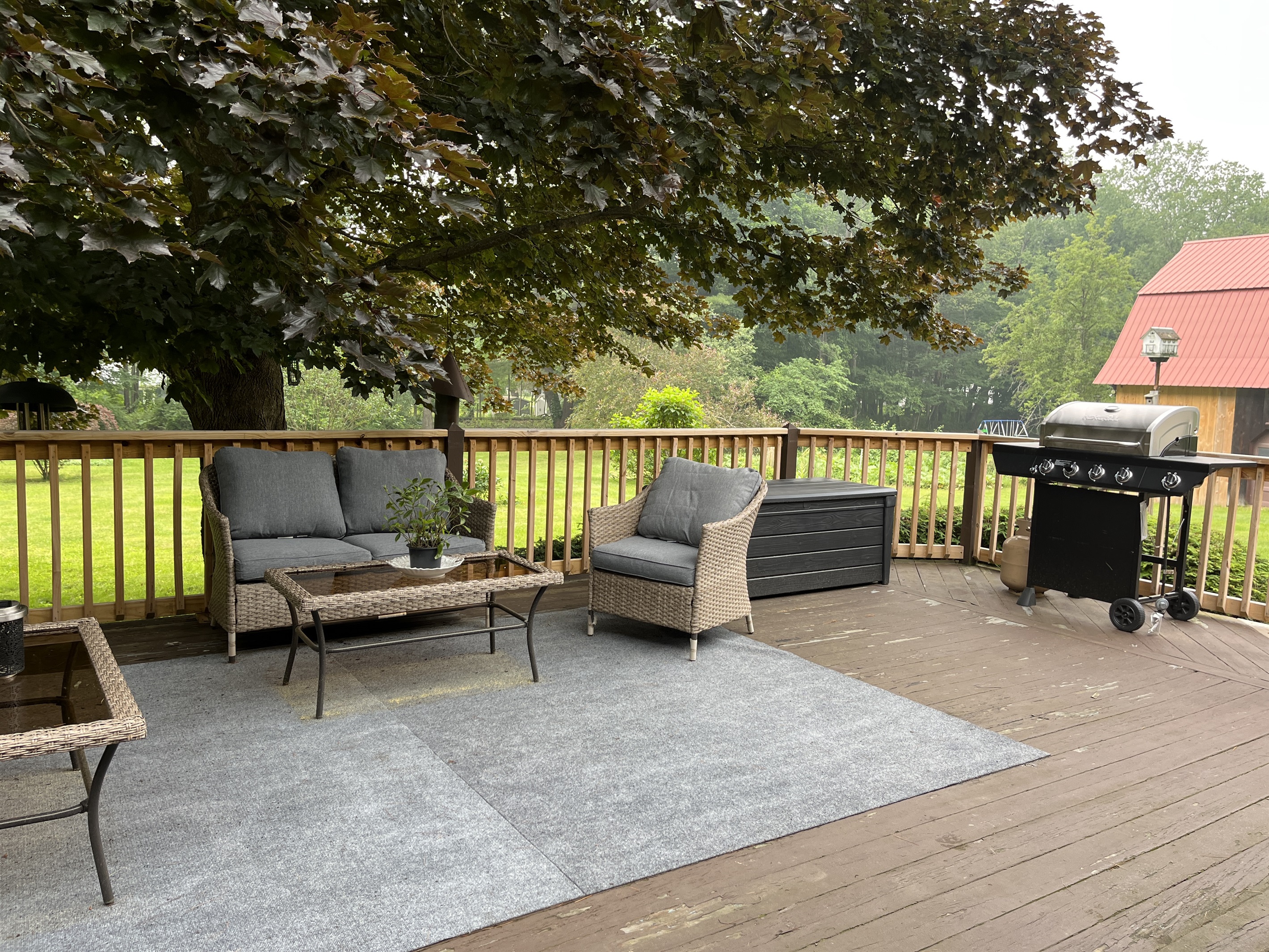 Back deck with seating and gas grill