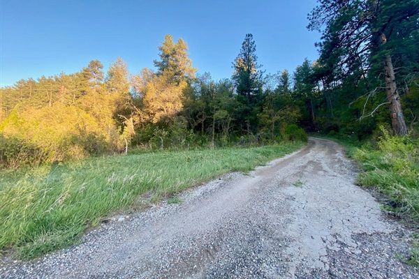 This is the driveway to get to the house.  