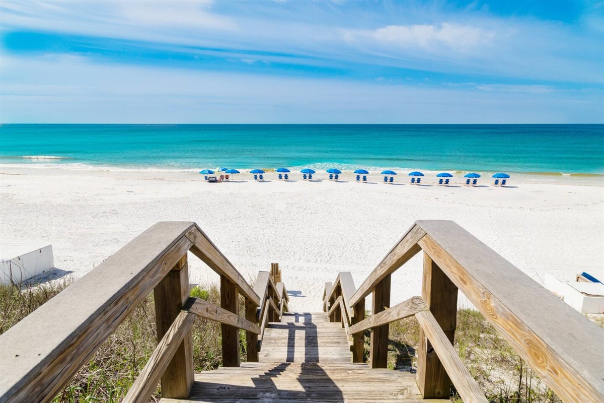 Beach Chairs able to be rented!