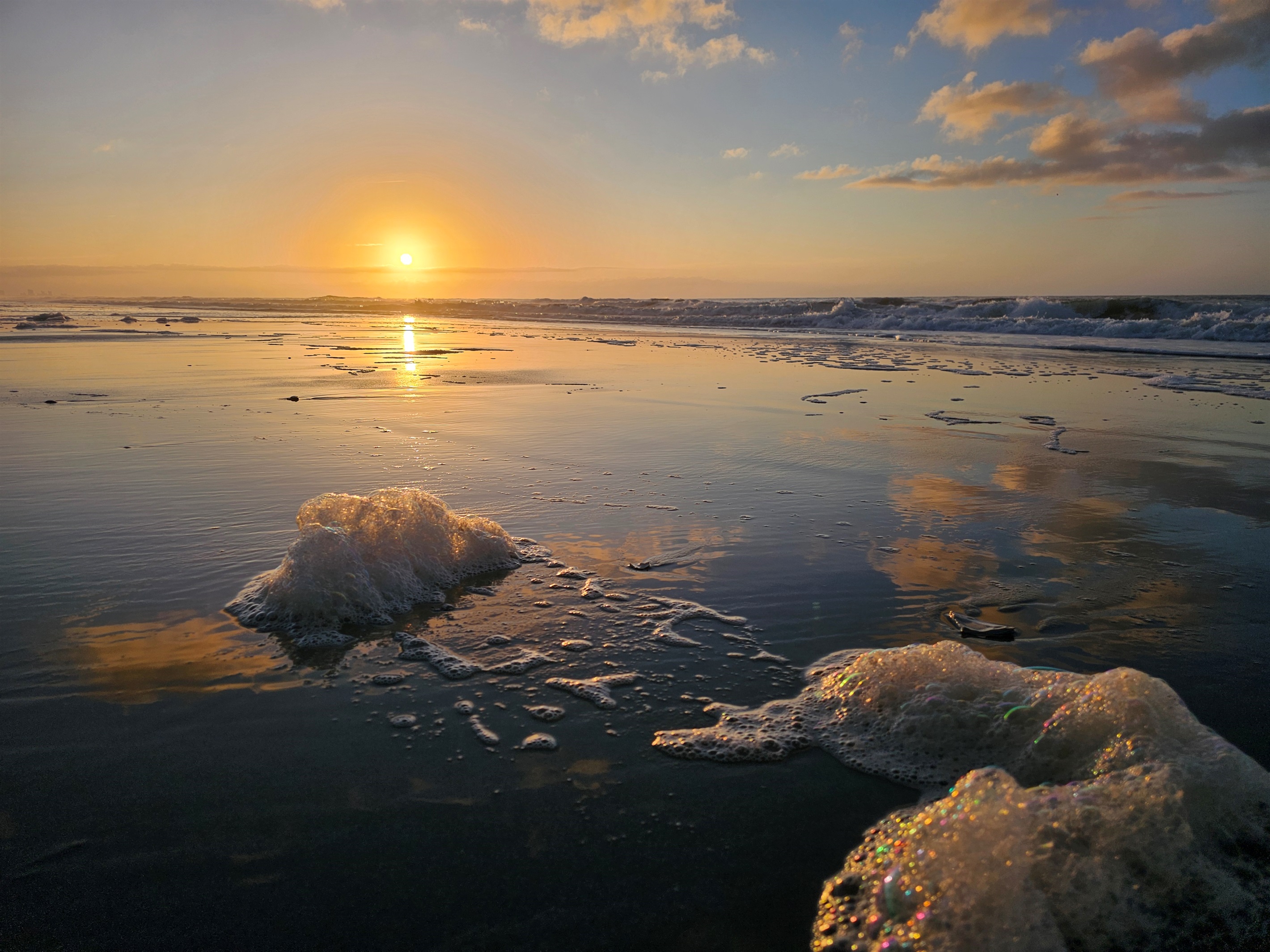 Morning walks on the beach