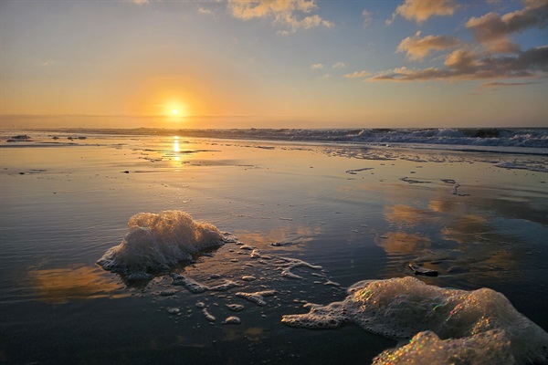 Morning walks on the beach