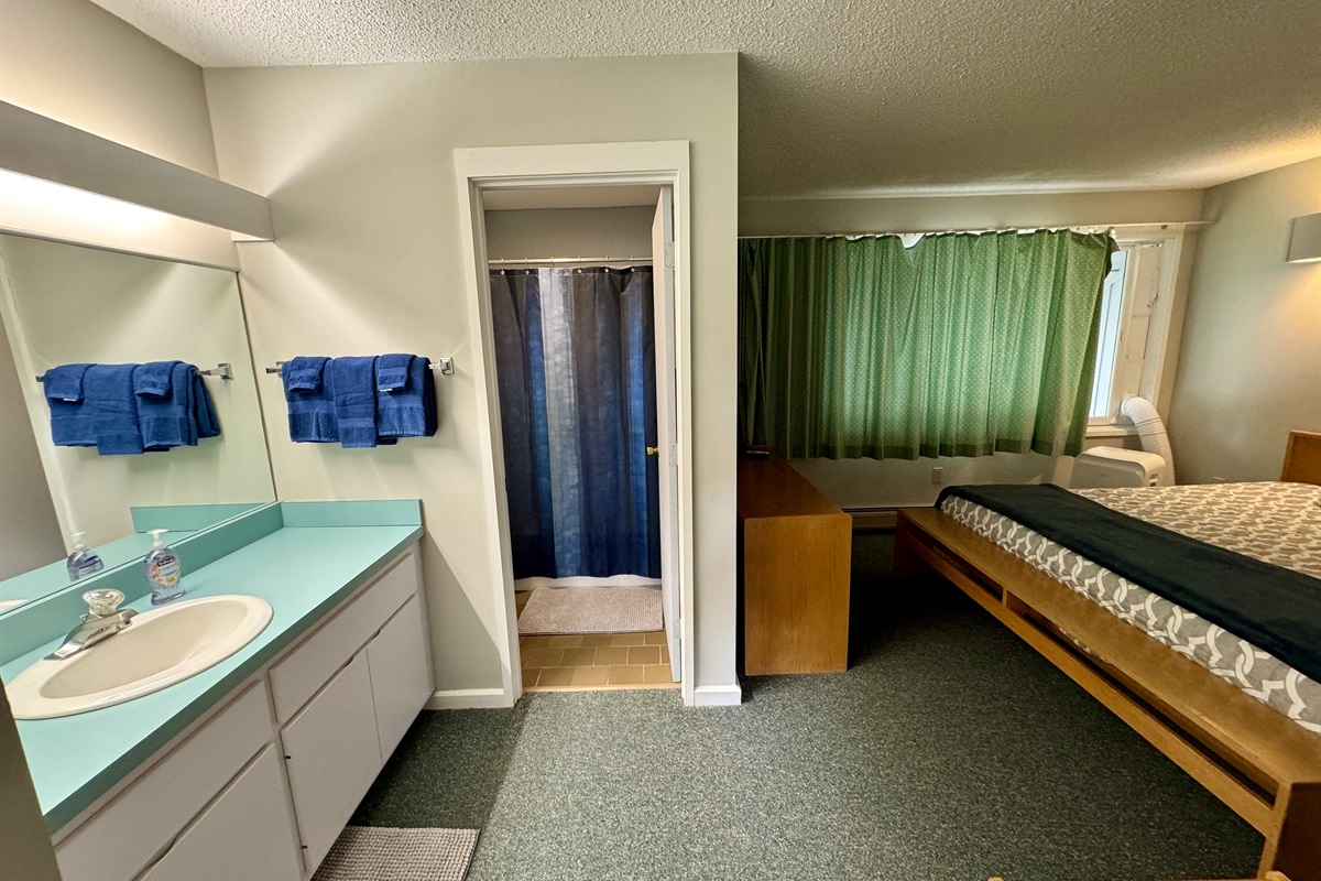 Primary ensuite bathroom