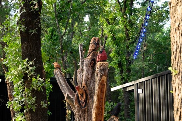 Take a picture with the Kevin Roach carvings throughout the ranch and tag #4forty4ranch