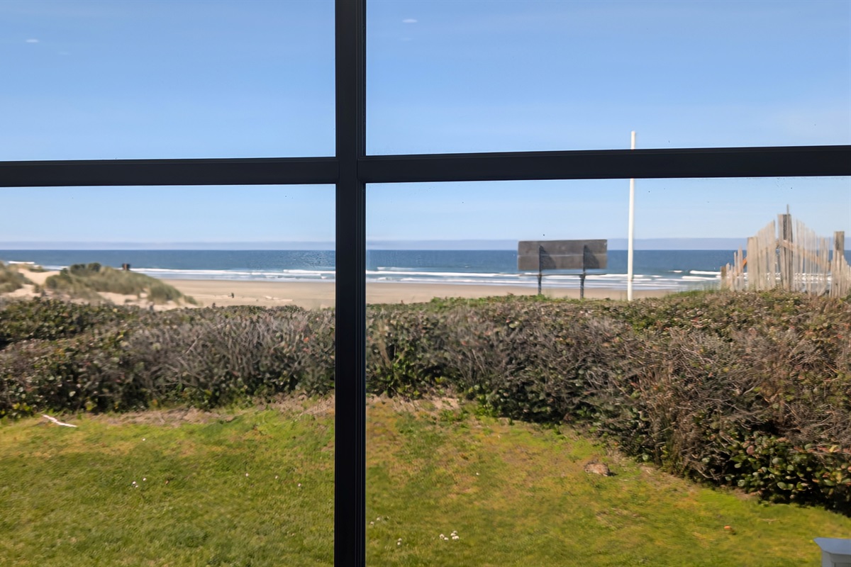 Living Room View