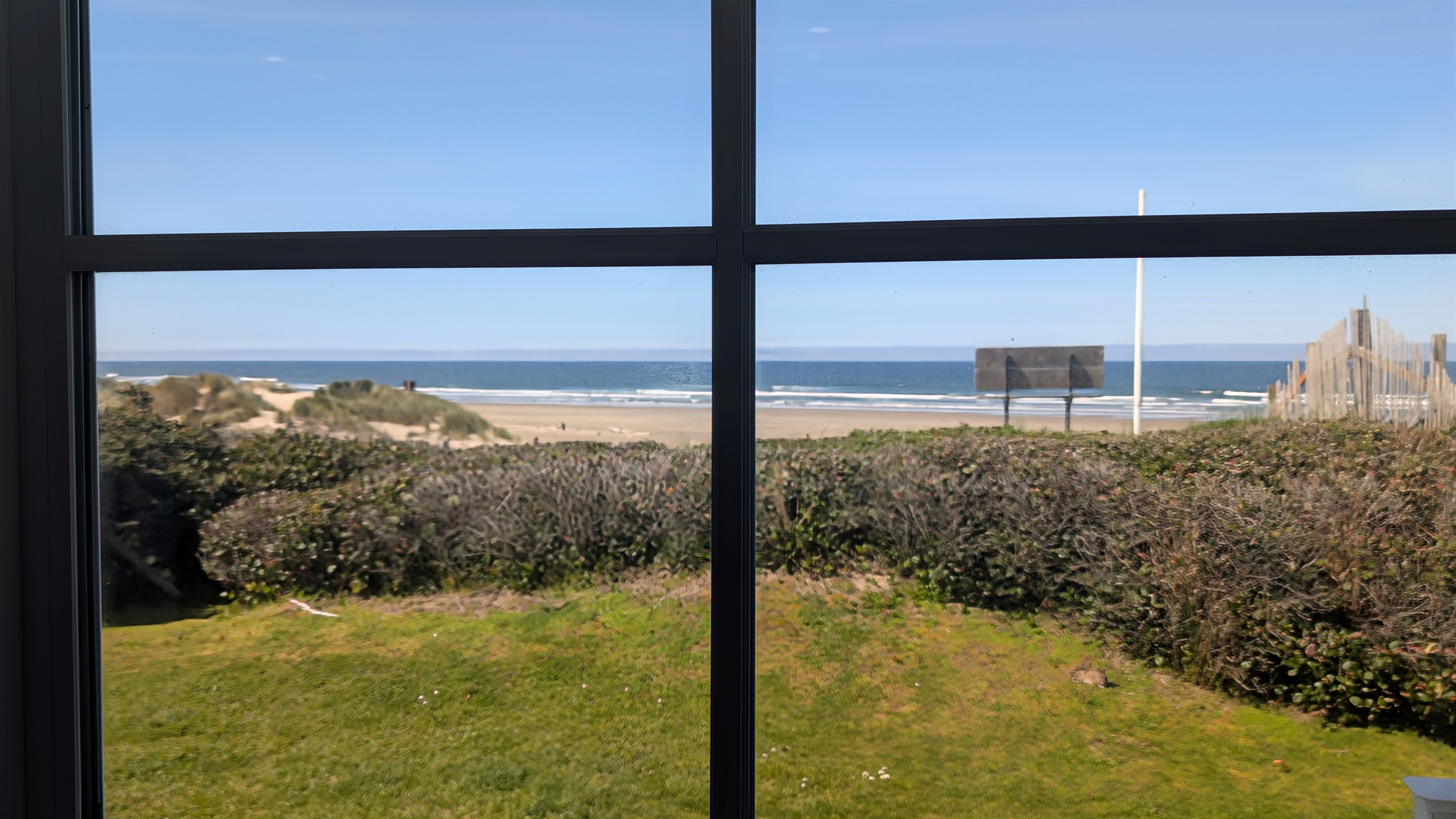 Living Room View