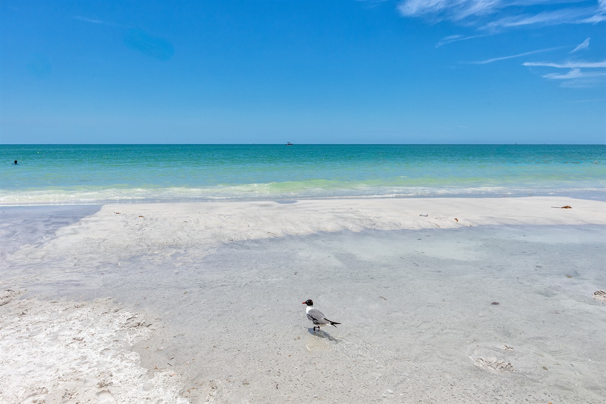 Beautiful Gulf waters!