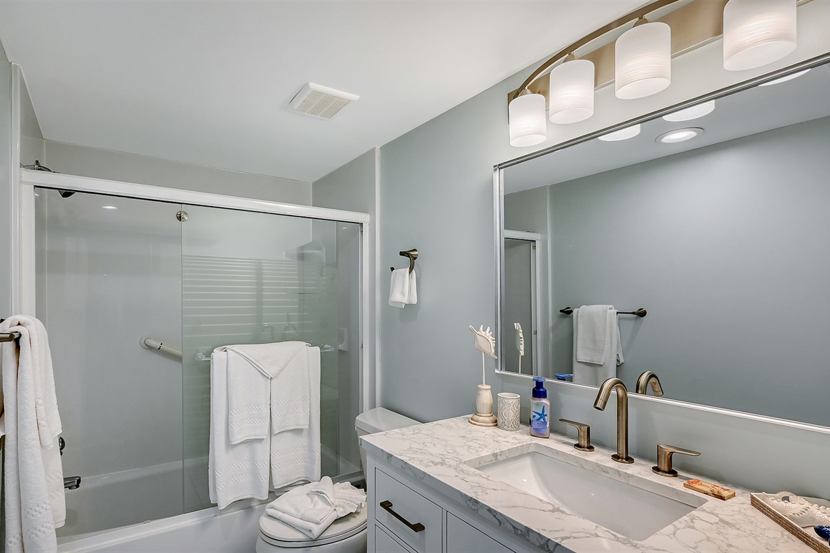 Guest bath upgrades with tub & shower 