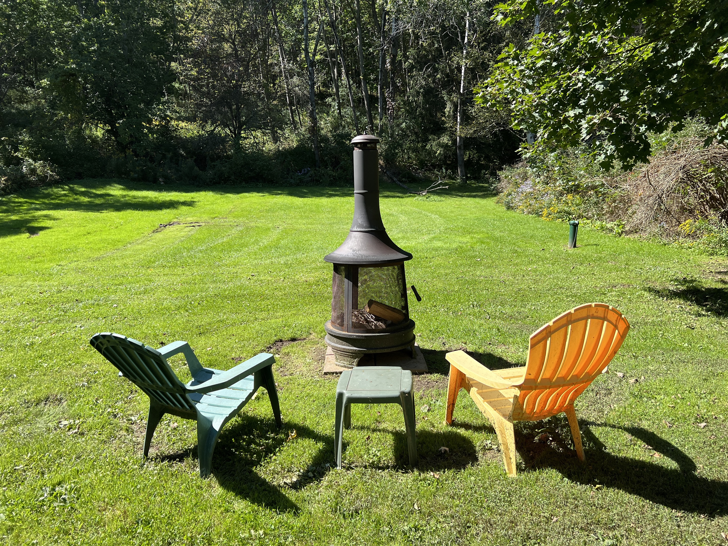 Dandelion firepit in the backyard.