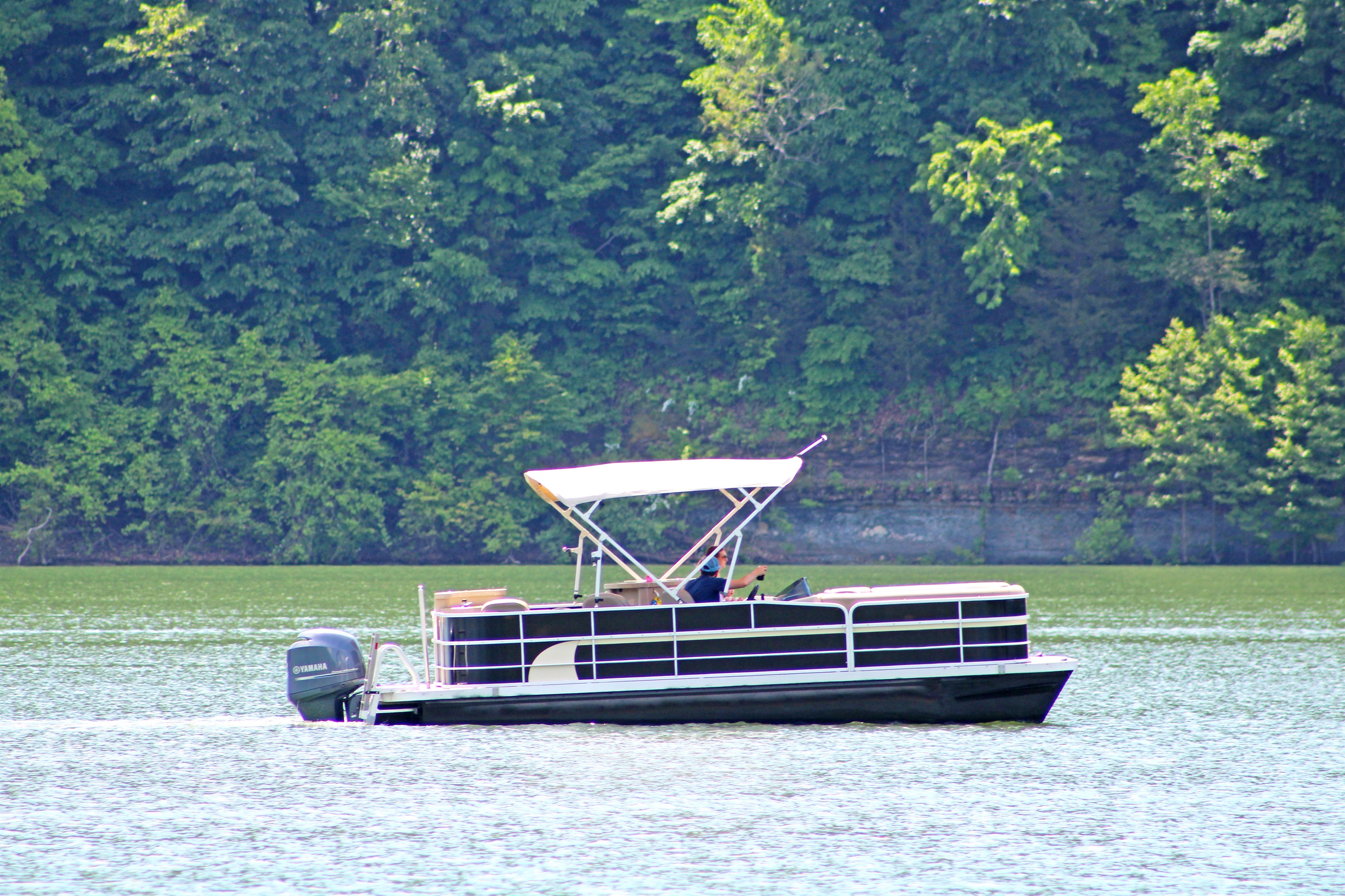 Cruise along and explore the beauty of the lake by boat. Don't have your own? No worries!  Check out Shady Cliff Marina for boat and jet ski rentals. 