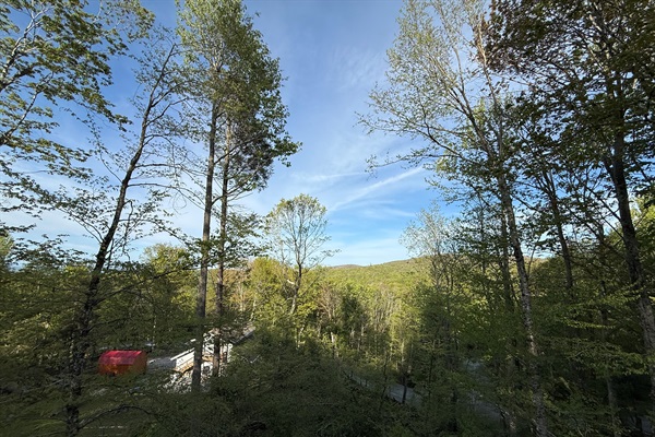More Deck Views