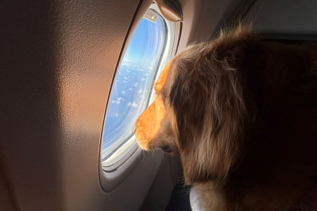 Take me back to Aruba!!!