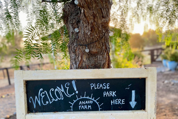 Your farm stay begins here. Turn into your private driveway and look for the welcome sign beneath the pepper tree. Park, take a breath, and follow the path past roses and fruit trees to your cottage. 