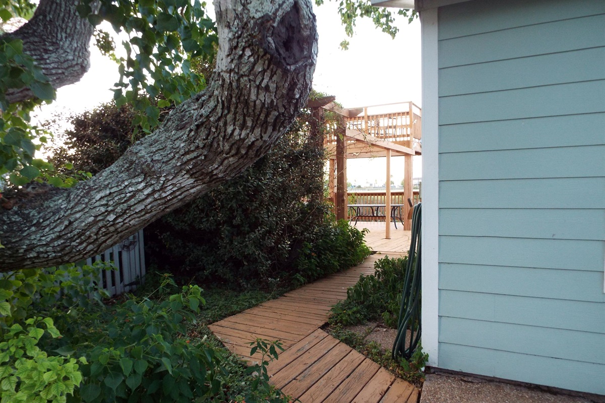 pathway to the deck
