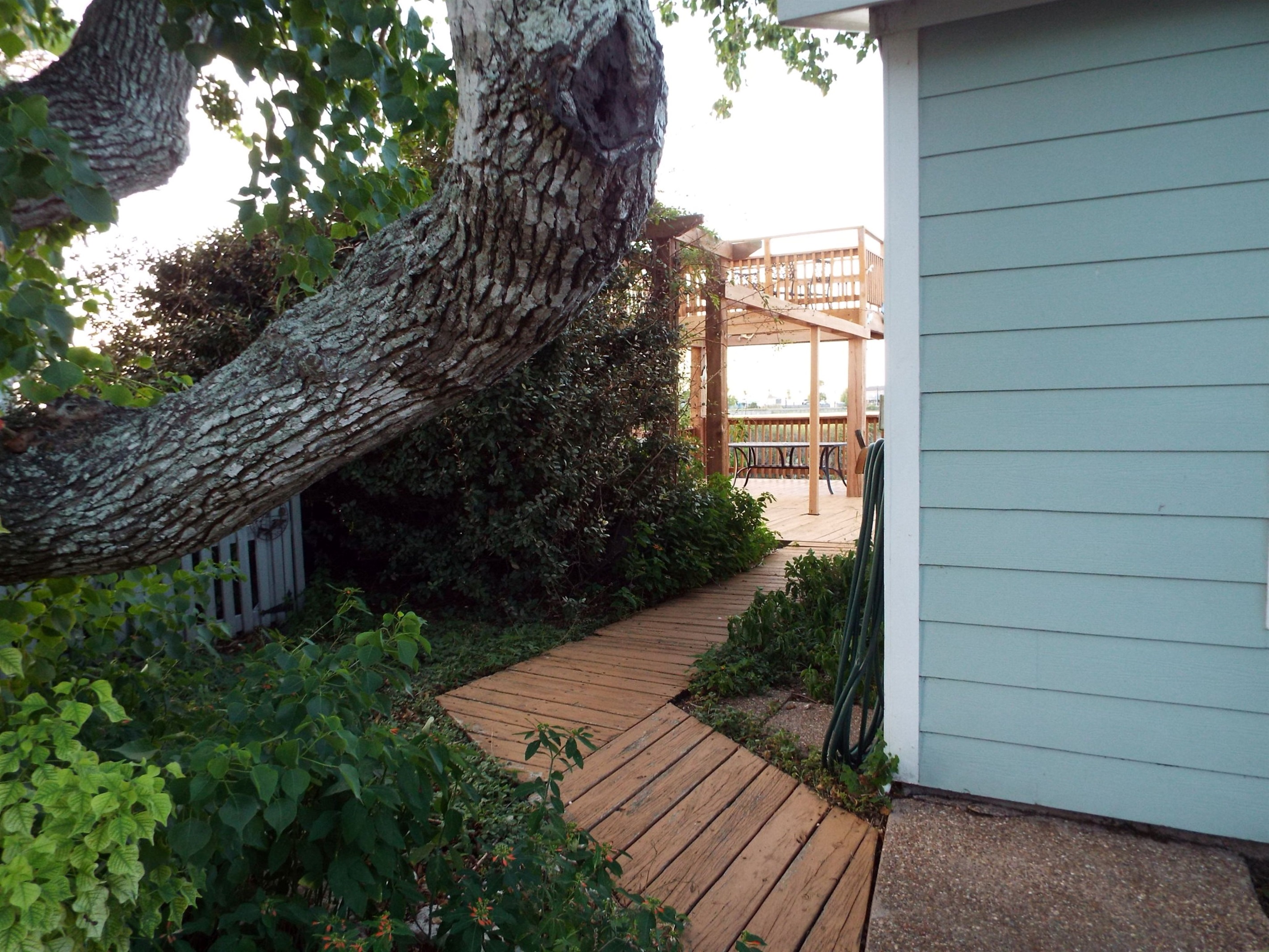 pathway to the deck