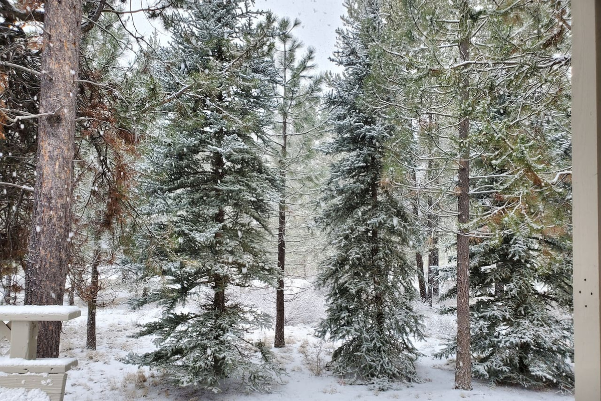 Winter or summer, the backyard is a lovely place to relax and enjoy the peace!