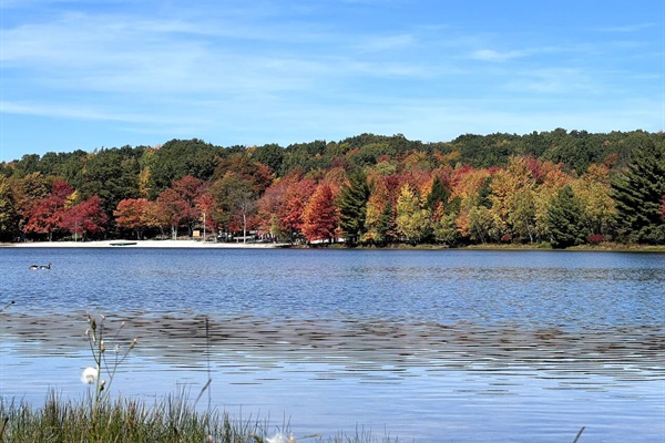 Lake life is the best life!