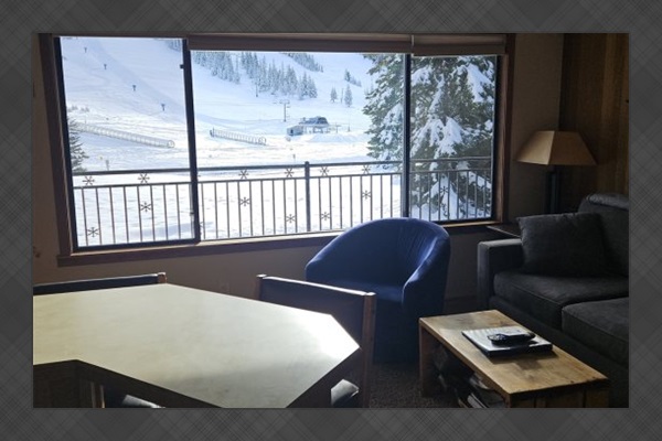View from Living room window.
