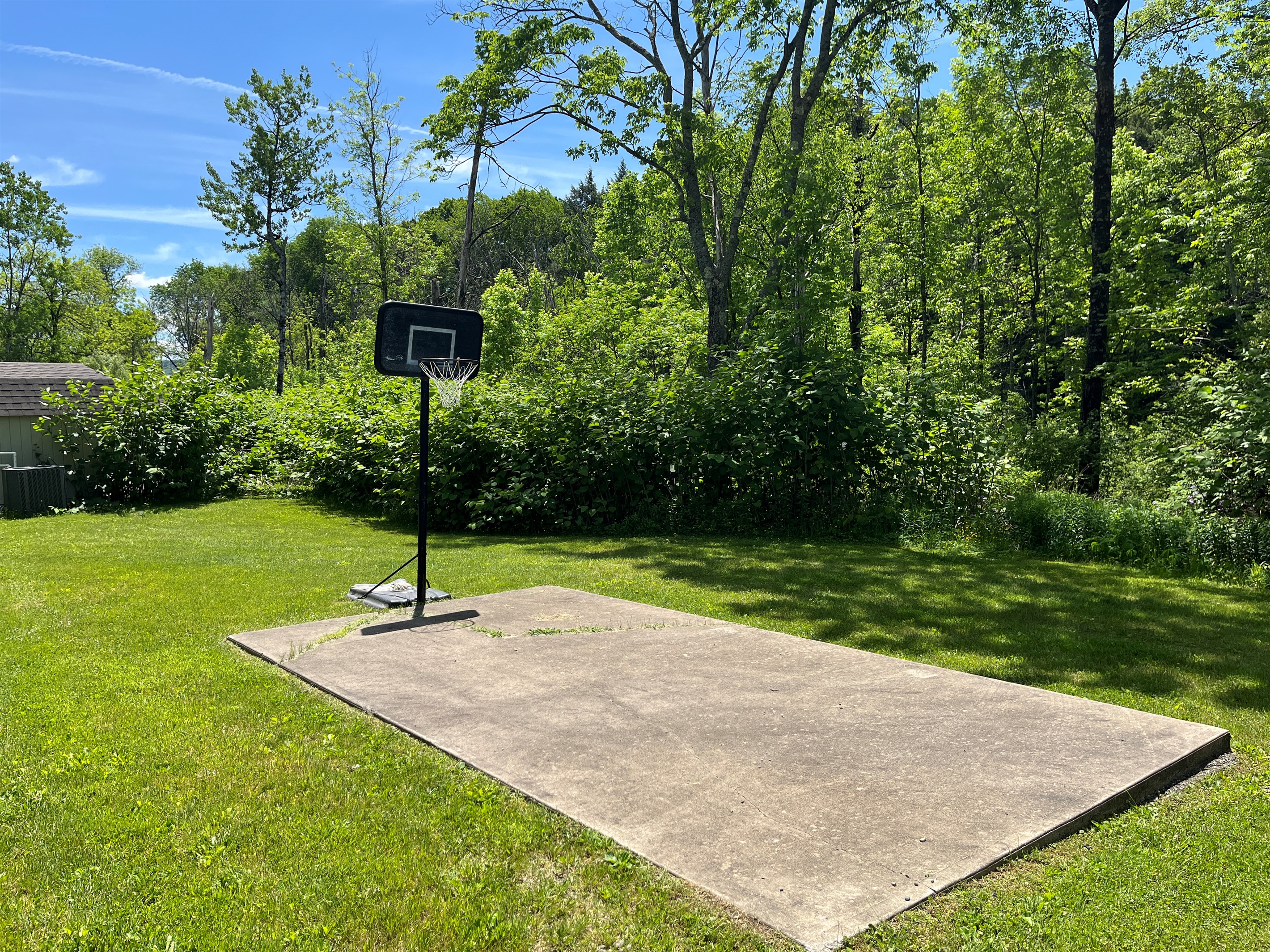Shared Basketball Hoop