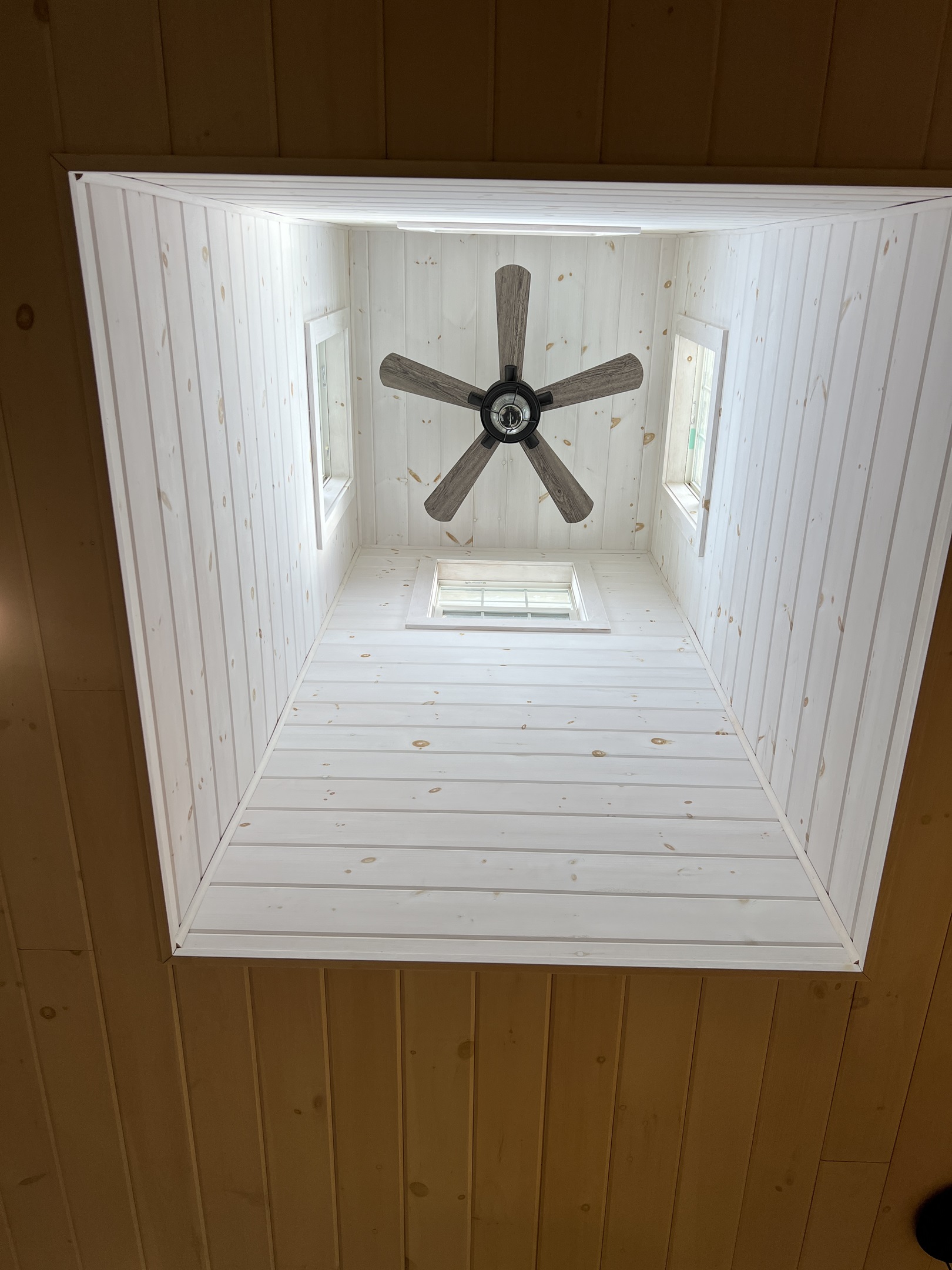 Horse Haven open copula lets in lots of natural light.