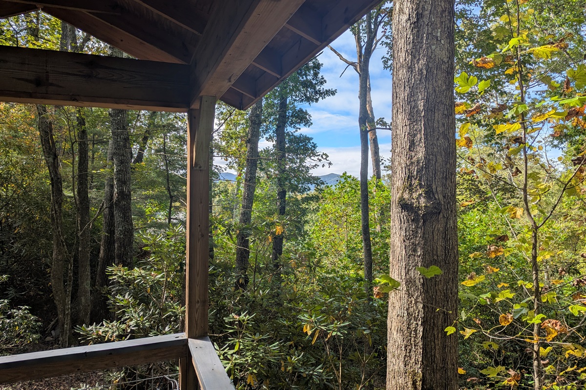 Treehouse Views