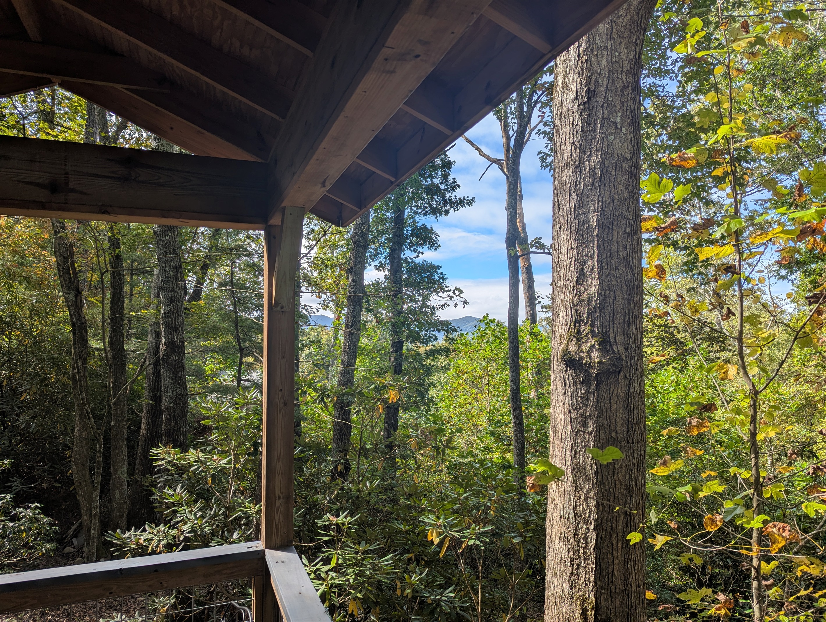 Treehouse Views
