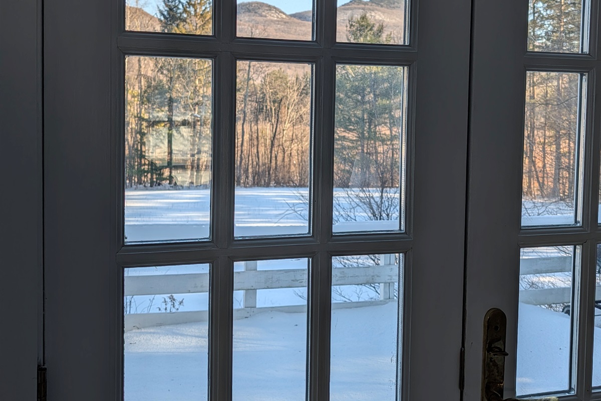 Peaceful winter views through classic multi-pane doors, overlooking a quiet, snow-covered landscape.