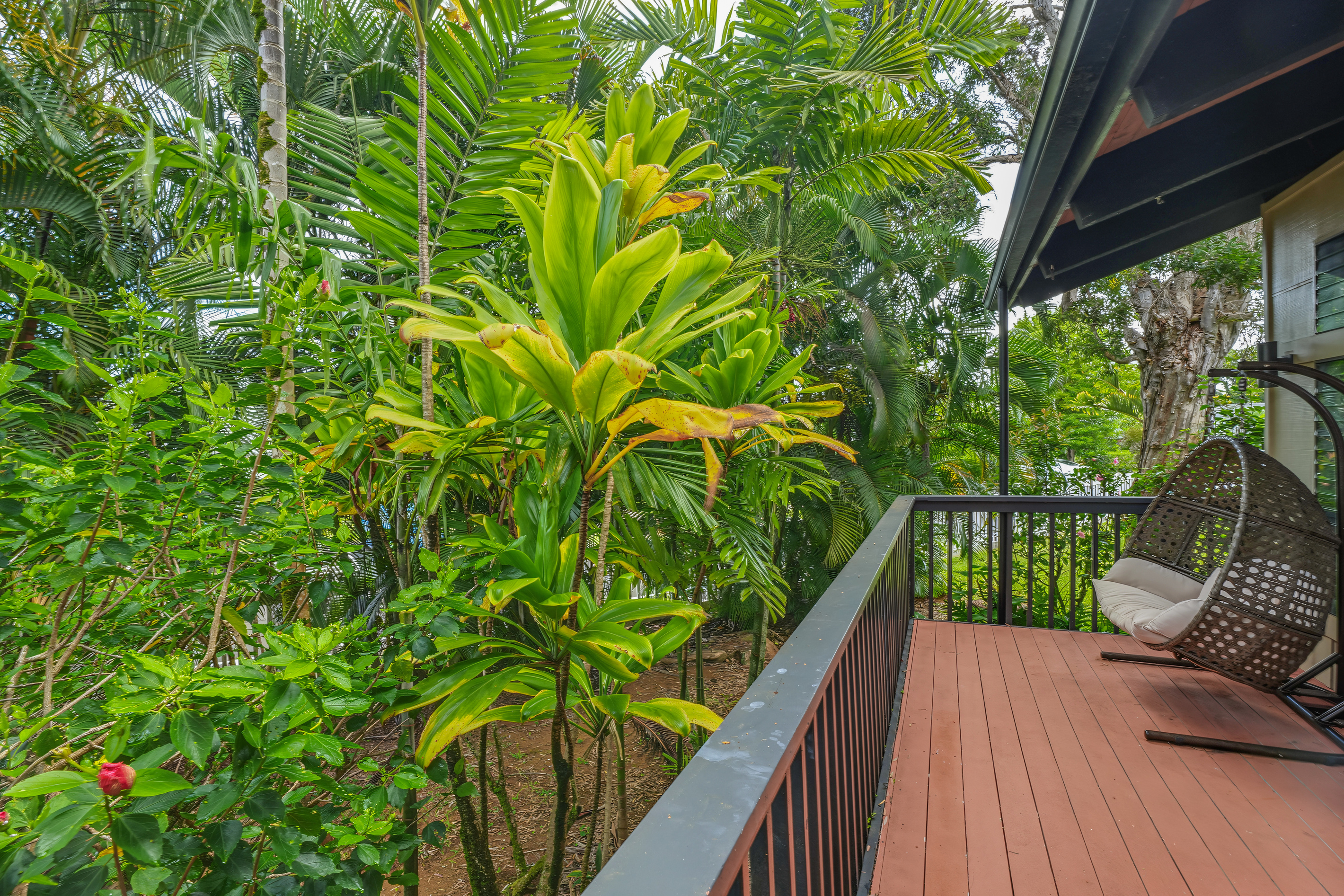 Lush relaxing space